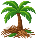 Palm Tree Debris